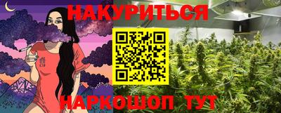 альфа пвп Новодвинск