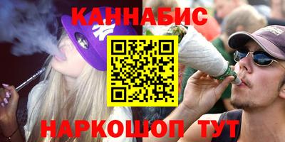 альфа пвп Новодвинск